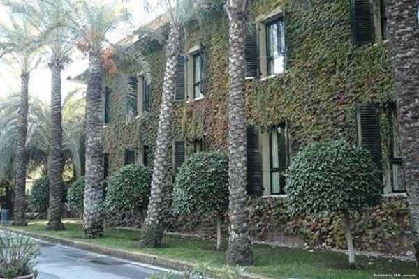 Jardin del Milenio (Elx)